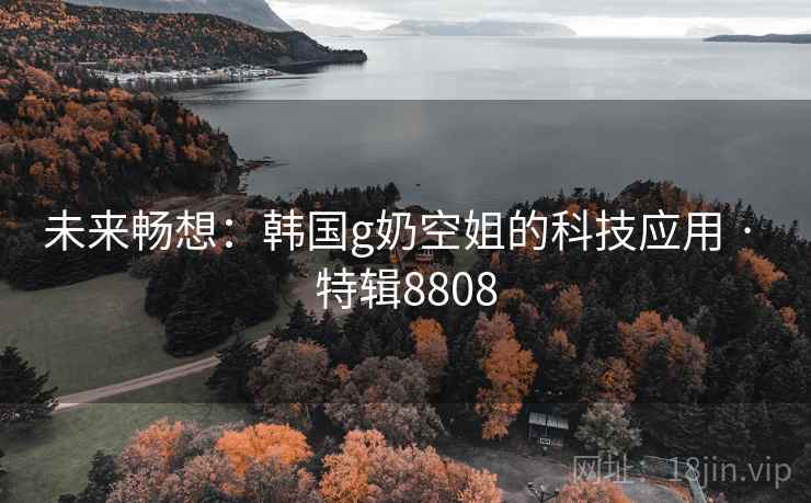 未来畅想：韩国g奶空姐的科技应用 · 特辑8808  第2张