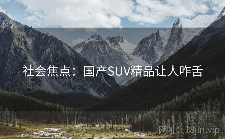 社会焦点:国产SUV精品让人咋舌 第1张 社会焦点:国产SUV精品让人咋舌 第1张